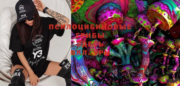 стафф Абинск