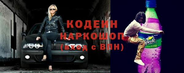 гидра Абаза