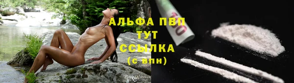 гидра Абаза