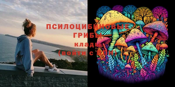 гидра Абаза