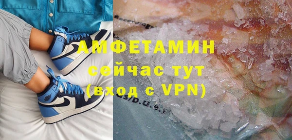 гидра Абаза