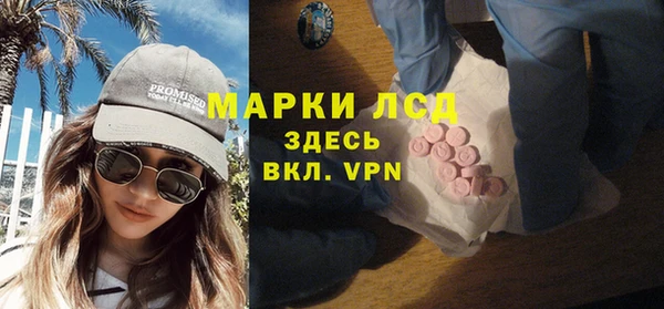 гидра Абаза