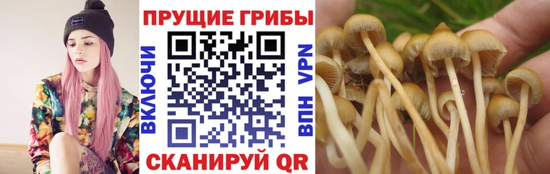 Галлюциногенные грибы Magic Shrooms Батайск