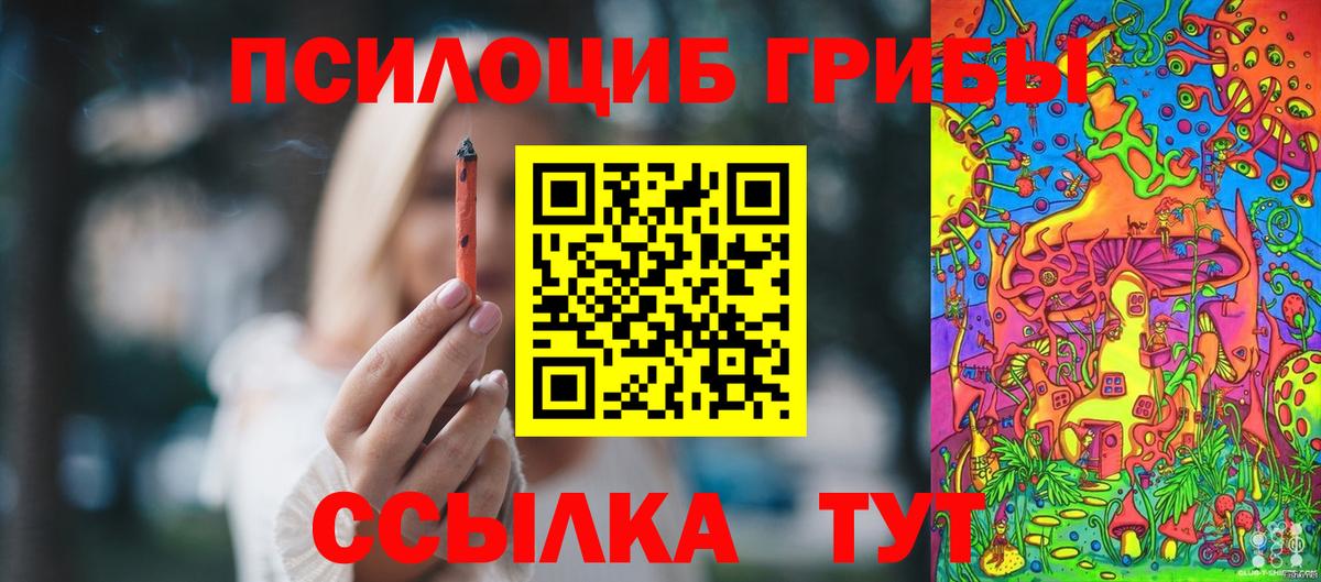 Псилоцибиновые грибы прущие грибы  Вход с VPN  Псилоцибиновые грибы Magic Shrooms  Батайск 